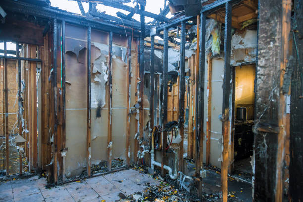 Professional Fire Damage Removal technician working in Prospect Park, PA