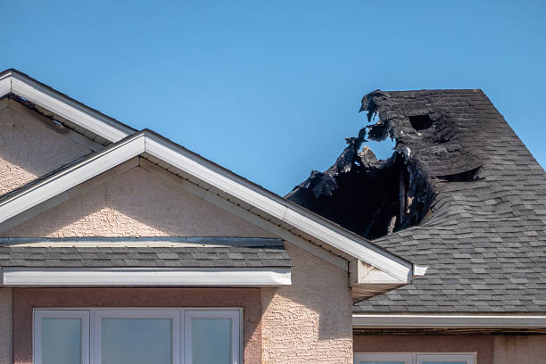 Top rated local Fire Damage Removal specialists in Prospect Park, PA